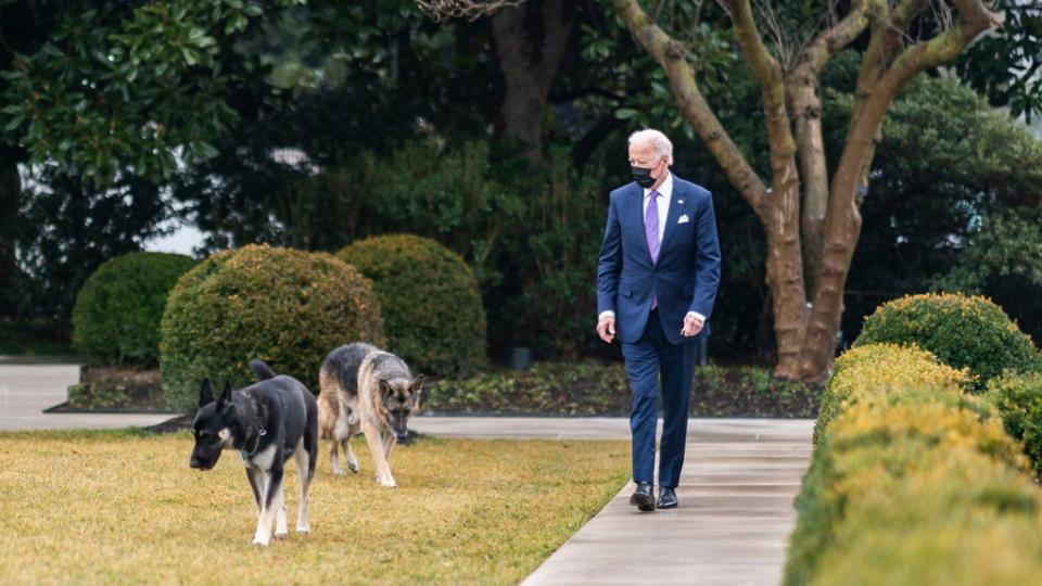 President Biden confers with Champ (left) and Major (center) outside the White House (Adam Schultz / The White House)