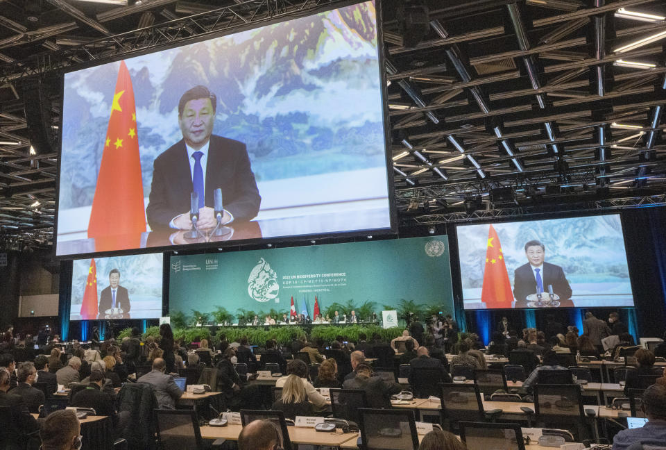 Chinese President Xi Jinping makes a video address at the opening of the high level segment at the COP15 biodiversity conference, in Montreal, Thursday, Dec. 15, 2022. (Ryan Remiorz/The Canadian Press via AP)