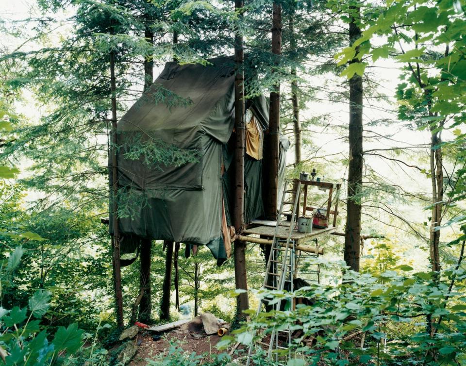 Steward Community Woodland, Devon (David Spero)