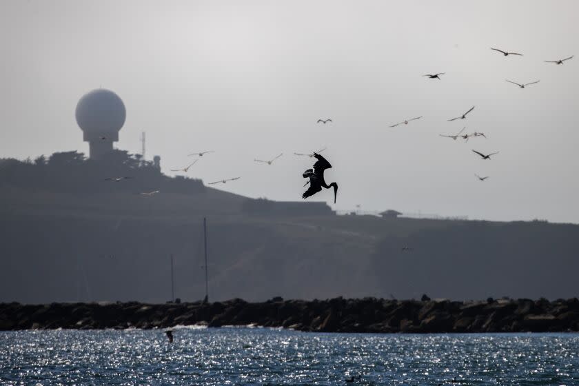 CALIFORNIA, USA - SEPTEMBER 1: Pelicans are flying over the Pacific Ocean in Half Moon Bay, California, United States on September 1, 2022 as the heat wave is expected in California this weekend. (Photo by Tayfun Coskun/Anadolu Agency via Getty Images)