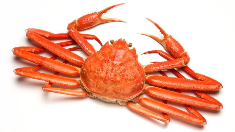 red snow crab white background