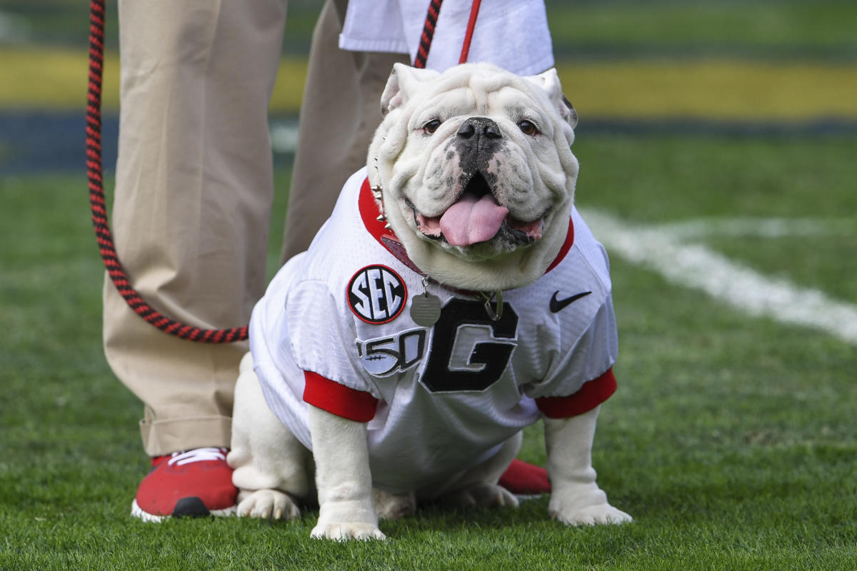 Georgia Football: Downloadable 2021 Bulldogs football schedule.