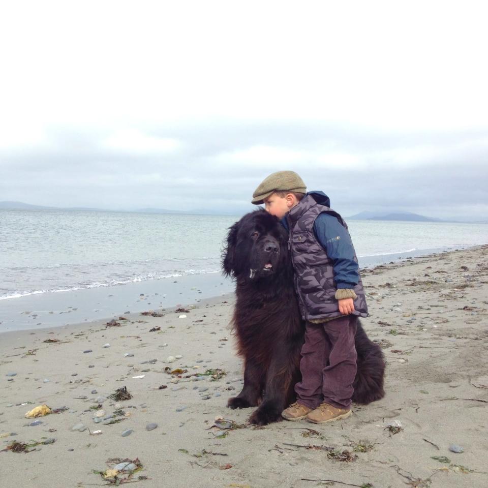 Julian gives Max a hug and a kiss while exploring the beach. (Photo: Stasha Becker/Rex Features)