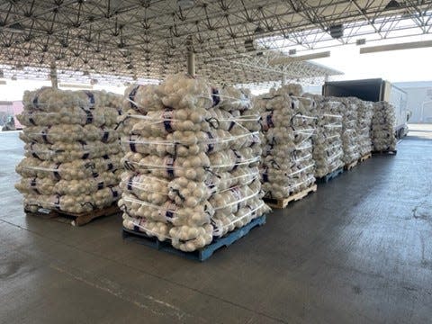 Pallets of confiscated onions that hid more than 1,300 pounds of meth, which had been placed in packages designed to look like onions.