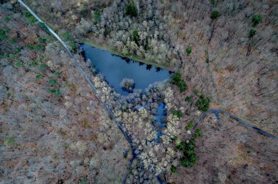 A small lake is located in a forest of the Taunus region in Usingen near Frankfurt, Germany, March 22, 2024. (AP Photo/Michael Probst)