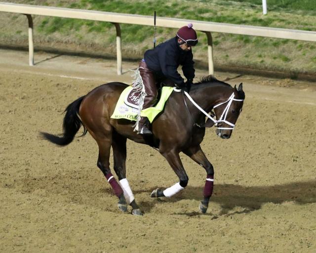 UPDATE Kentucky Derby contender euthanized after suffering leg injury