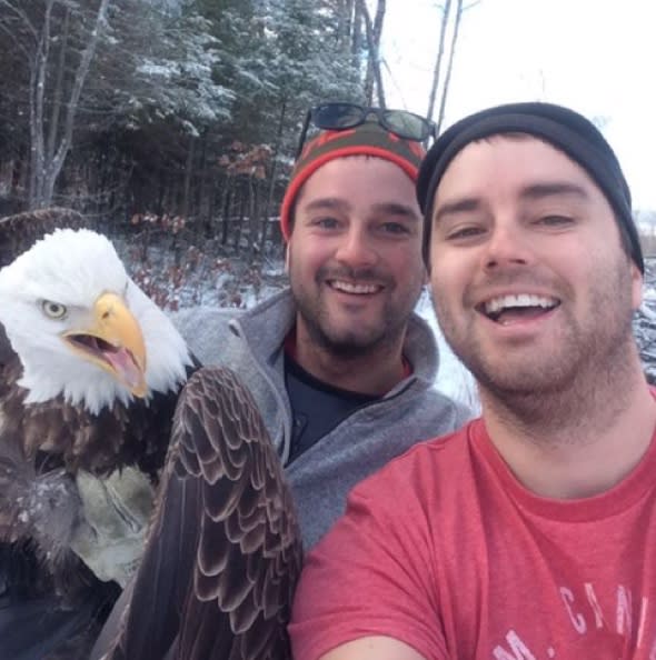 Brothers free bald eagle caught in a trap (video)