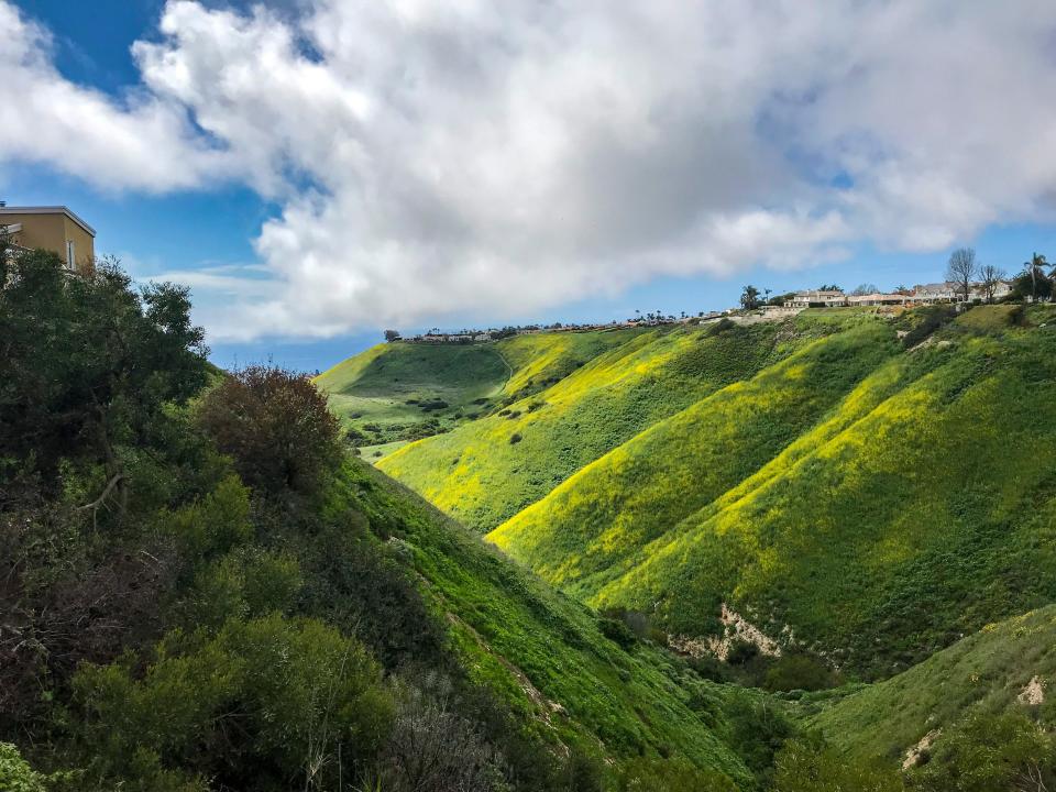 Homes line one of the canyons in Rancho Palos Verdes. The many acres of open space in the city provide breathtaking views and public access to wild places between city subdivisions, but the vegetation poses a substantial fire risk.
