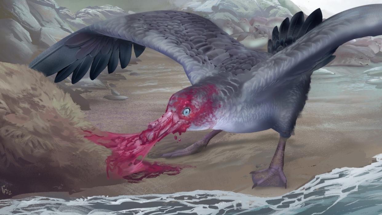  An artist's interpretation of the newfound giant petrel ripping into a dead seal about 3 million years ago in what is now New Zealand. 