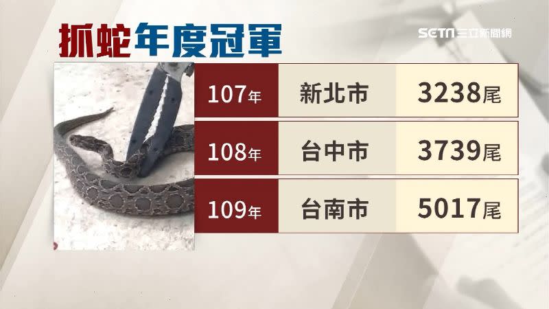 根據農委會資料，去年全國抓蛇數量最多的縣市為台南市，多達5017尾。