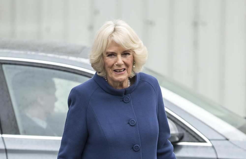 Duchess Camilla launches Platinum Champions credit:Bang Showbiz