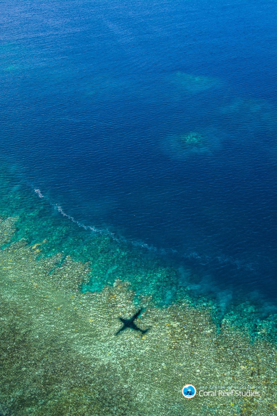 Great Barrier Reef Again Hit by Severe Coral Bleaching