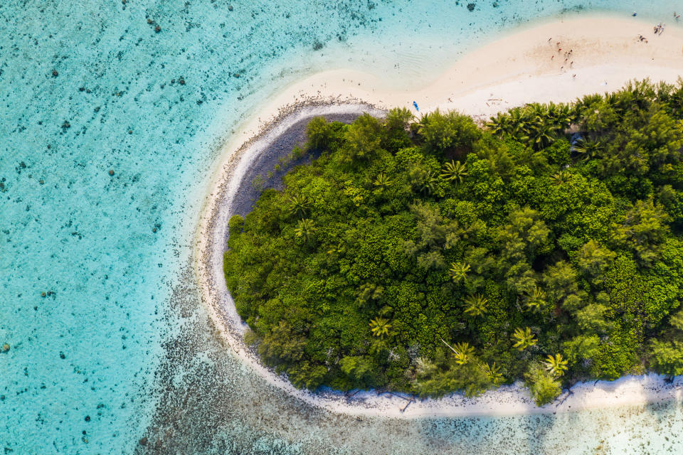 Island peninsula with trees and clear water surrounding it