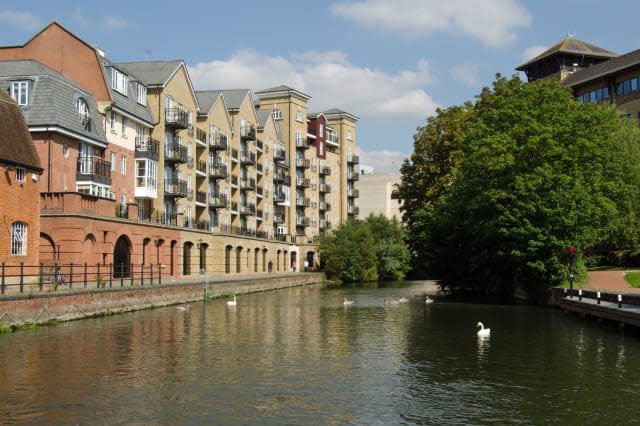 A large family of swans swimming on the waters of the Kennet and Avon Canal in the centre of Reading, Berkshire.  Modern apartme