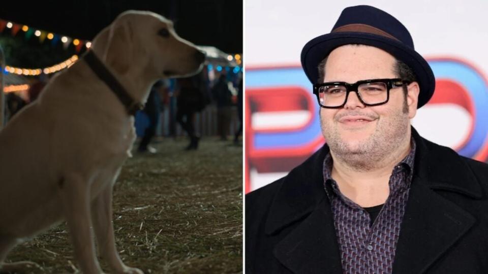 Gus (Josh Gad), a reflective dog, in “Strays” (Universal)