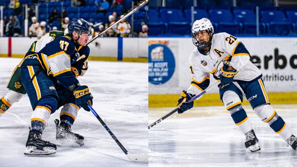 The UBC men's and women's hockey teams will host up to six games of Canada West championship action this coming weekend. (UBC Thunderbirds Athletics - image credit)