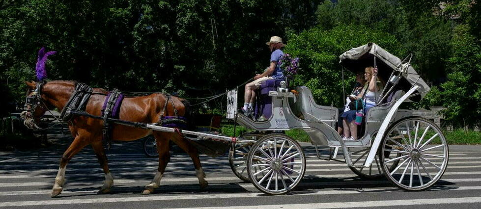 Les calèches touristiques font polémique aux États-Unis depuis le malaise d'un cheval en pleine rue. (Photo d'illustration)  - Credit:ANGELA WEISS / AFP