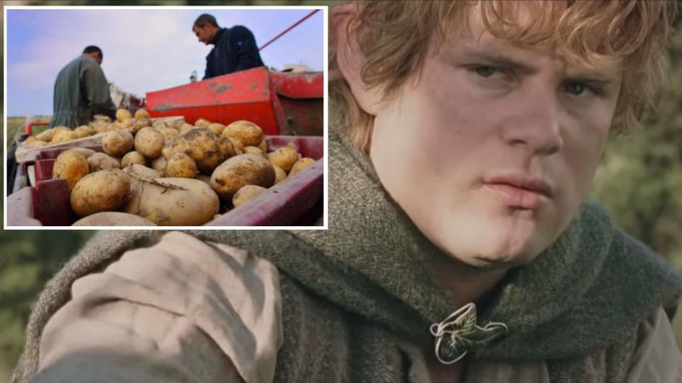 A composite image of Sean Astin depicting Samwise Gamgee in the film, The Lord of the Rings: The Two Towers, and an image of La Bonnotte potatoes being harvested. Images: Île de Noirmoutier, New Line Cinema
