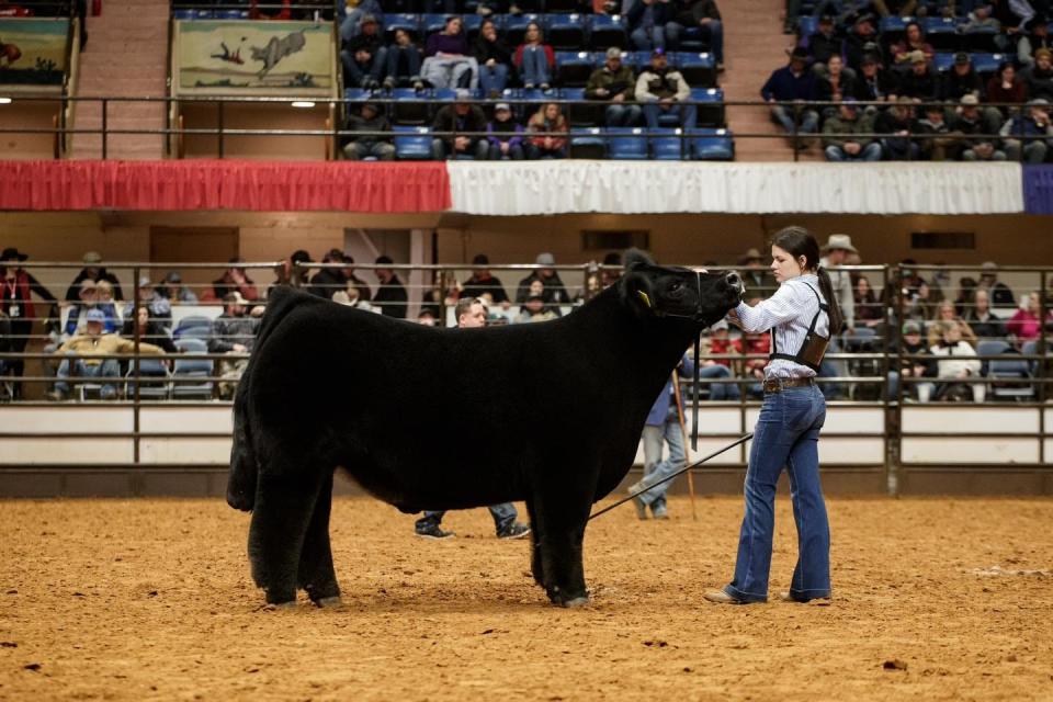 Sadie Wampler, 15, from Canyon, is the Grand Champion Steer winner at the 2023 Fort Worth Stock Show and Rodeo. She sold the steer for a record-breaking $440,000.