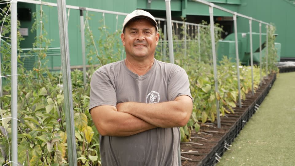 Chris Grallert, president of Green City Growers, has been a farmer and Red Sox fan all his life. - Bob Crowley/CNN