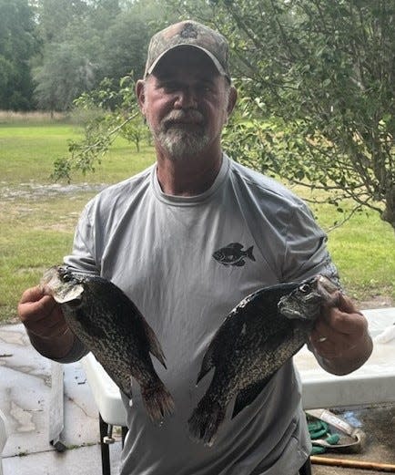 Gary Warren with a pair of speckled perch pulled from Lake Woodruff this week.