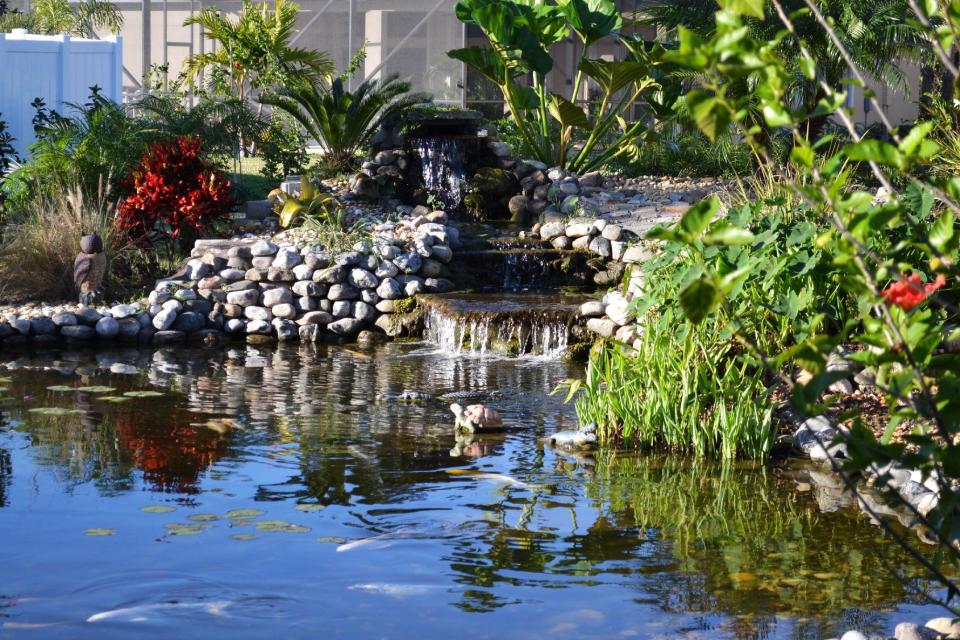 This undated photo provided by Kristen Alligood shows a pond designed by Sonny Alansky for the backyard of his home in Rockledge, Fla. It measures roughly 37 feet in diameter, has three waterfalls and 14 koi fish. Backyard ponds, which range from small and simple to meandering and ornate, can become a passion for many gardeners. (AP Photo/Kristen Alligood)