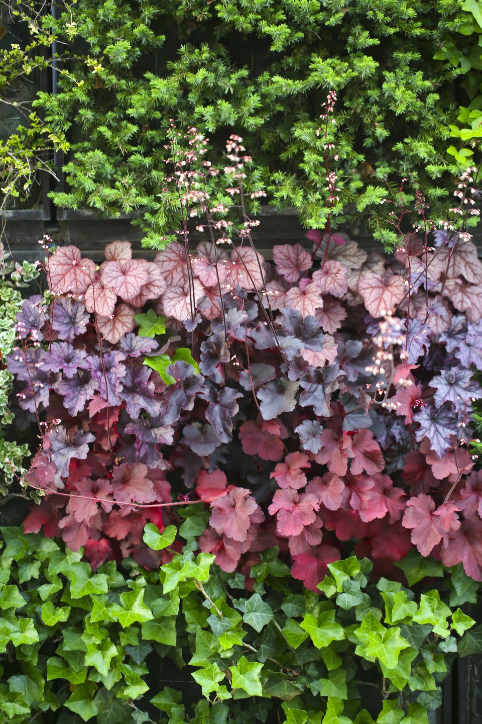 vertical garden