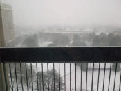 @Floyd_Tori: View from my balcony in Mississauga. #TOsnowpics pic.twitter.com/vsoeAFOt