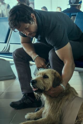 <p>Carlos Rodriguez</p> Mark Wahlberg and his canine costar Ukai in 'Arthur the King'