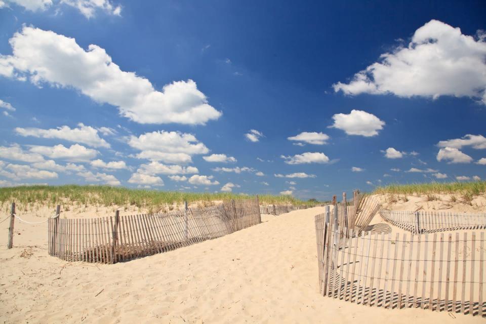 <p>Believe it or not, Delaware has sand dunes, and they're beautifully reminiscent of the desert. Partway through, the <a href="https://go.redirectingat.com?id=74968X1596630&url=https%3A%2F%2Fwww.alltrails.com%2Ftrail%2Fus%2Fdelaware%2Fwalking-dunes-trail&sref=https%3A%2F%2Fwww.esquire.com%2Flifestyle%2Fg41044871%2Fbest-hiking-trails-in-every-state%2F" rel="nofollow noopener" target="_blank" data-ylk="slk:2.6-mile trail" class="link ">2.6-mile trail</a> leads hikers through <a href="https://go.redirectingat.com?id=74968X1596630&url=https%3A%2F%2Fwww.tripadvisor.com%2FShowUserReviews-g34028-d103510-r229556644-Cape_Henlopen_State_Park-Lewes_Delaware.html&sref=https%3A%2F%2Fwww.esquire.com%2Flifestyle%2Fg41044871%2Fbest-hiking-trails-in-every-state%2F" rel="nofollow noopener" target="_blank" data-ylk="slk:The Great Dune" class="link ">The Great Dune</a>, which is 80 feet above the ocean (it's the state's highest dune). </p>
