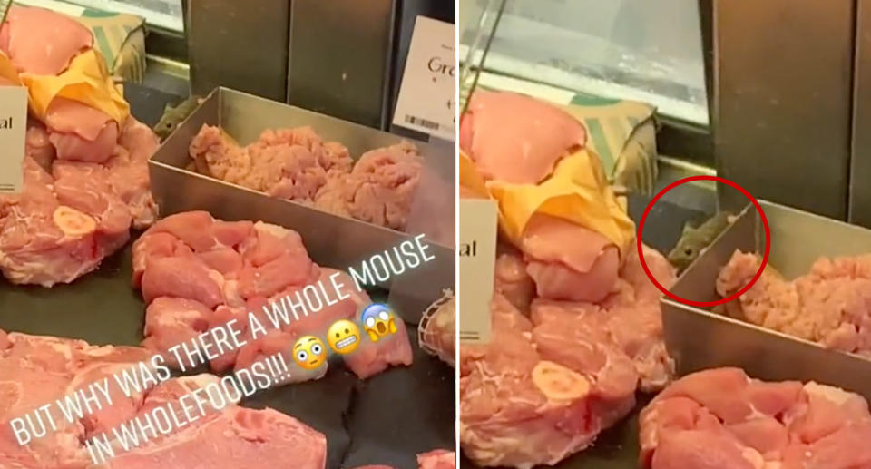 TikTok showing mouse feasting in Whole Foods meat section