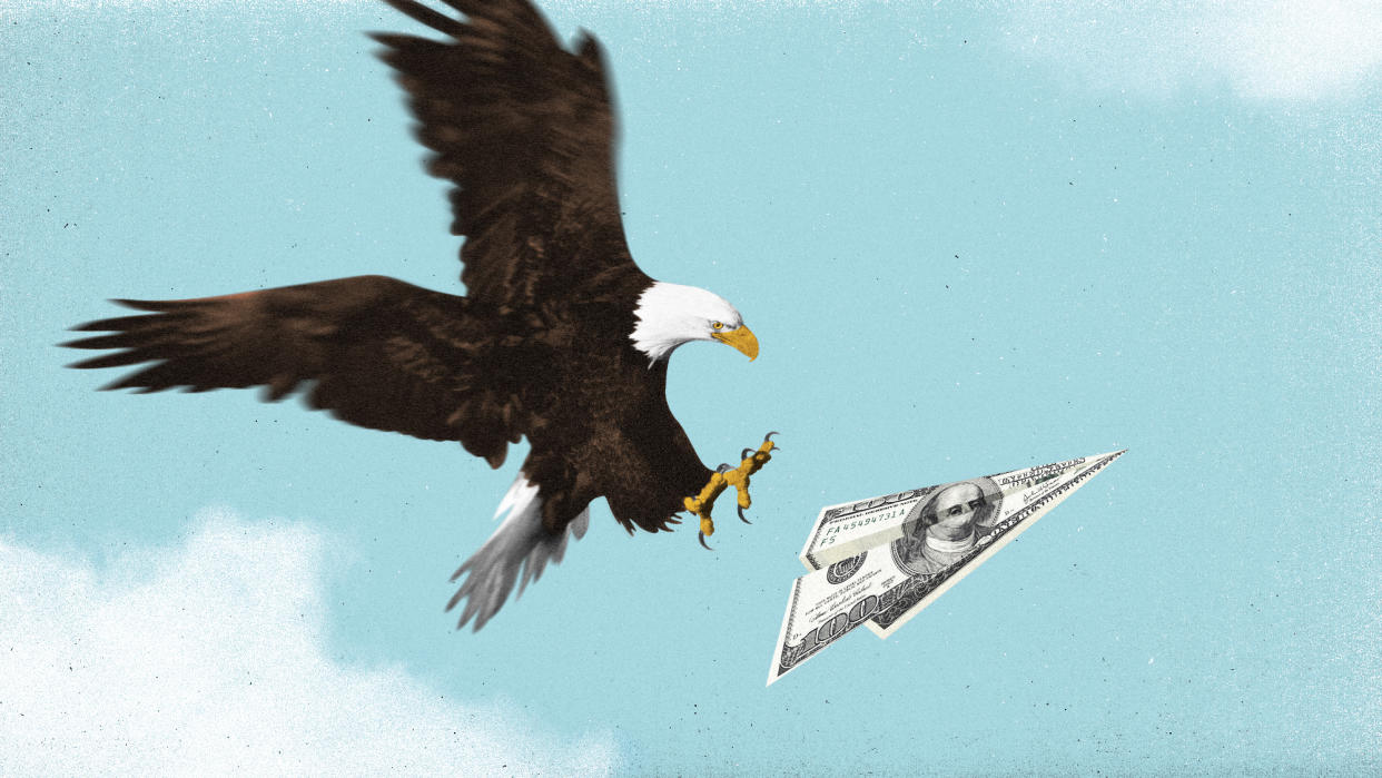  Bald eagle catching a paper plane made out of dollars. 