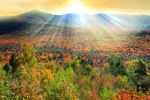 White Mountain National Forest in New Hampshire - Credit: AP