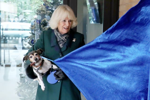 Steve Parsons - WPA Pool/Getty Queen Camilla and her dog Beth attend a royal outing in December 2020