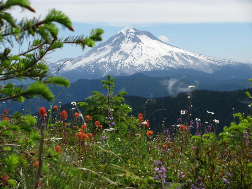 Oregon in the spring