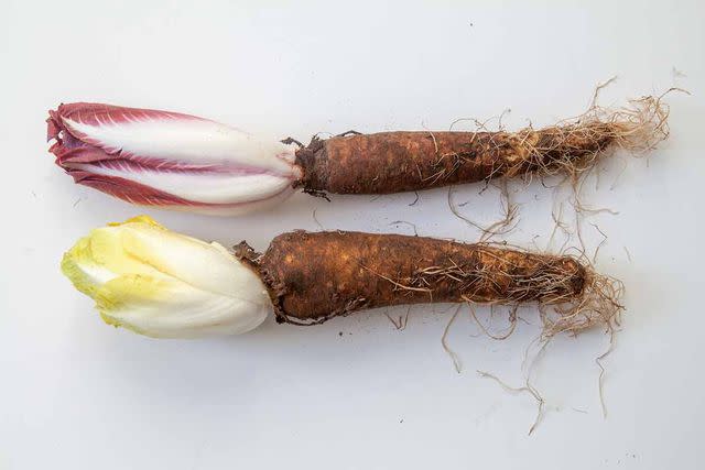 <p>Simply Recipes / Elise Bauer</p> Two heads of Belgian endive: magenta on the top, and the more common pale on the bottom. They are not usually sold with the root.