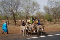 The Wider Image: Senegalese plant circular gardens in Green Wall defence against desert