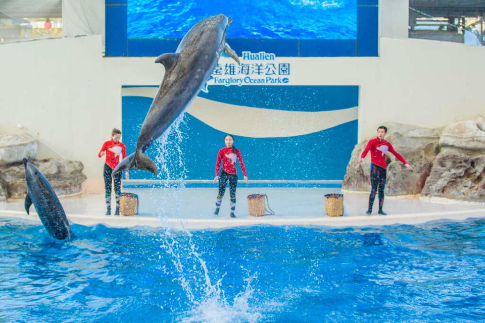 遠雄海洋公園（圖片來源：東部海岸國家風景區）