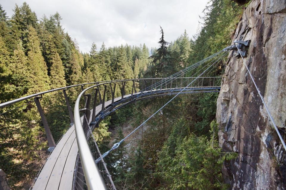 The Capilano Suspension Bridge is nearly 460 feet long and 229 feet above the Capilano River.