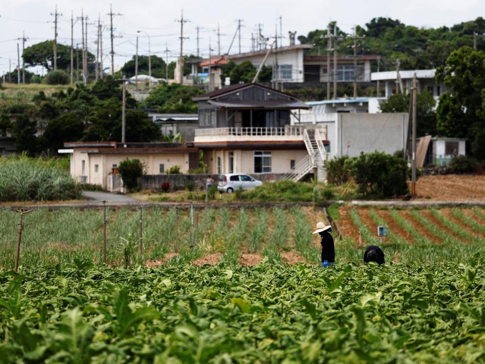 Farmers work on a field on Miyako Island, Okinawa prefecture, Japan April 21, 2022.