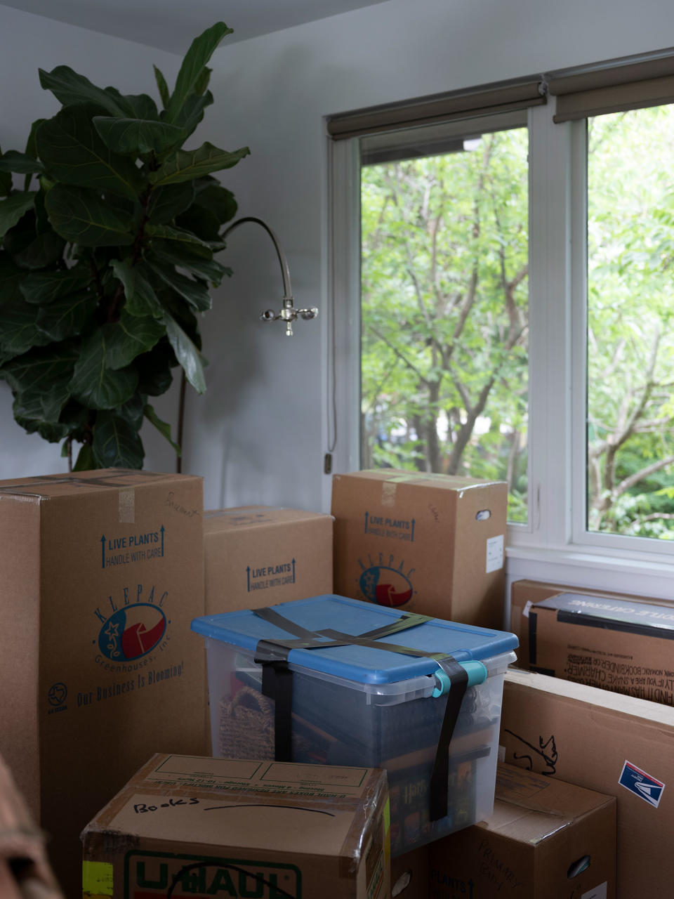 Boxes wait to be taken by the movers as Karen's family prepares to leave Austin.<span class="copyright">riel Sturchio for TIME</span>