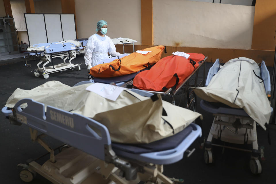 A medical worker tends to bodies of victims of soccer match stampede at the Saiful Anwar Hospital in Malang, East Java, Indonesia, Sunday, Oct. 2, 2022. Panic at an Indonesian soccer match after police fired tear gas to to disperse supporters invading the pitch left over 100 people dead, mostly trampled to death, police said Sunday. (AP Photo/Trisnadi)