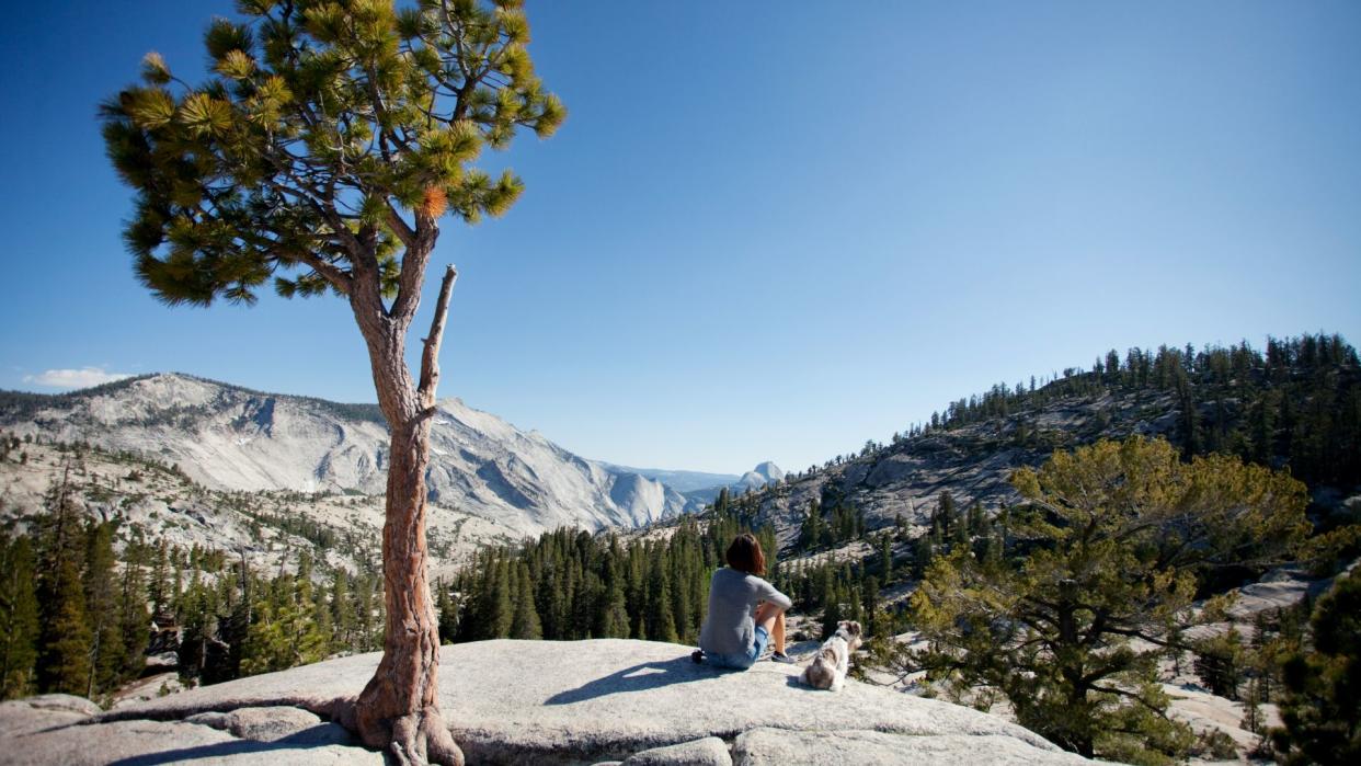 Woman sitting on mountain with dog