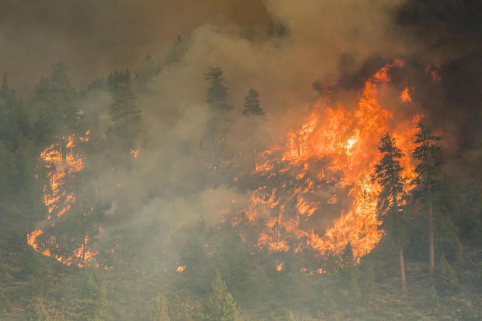 Los rayos producen cada año extensos incendios forestales en EEUU. (Getty Images)