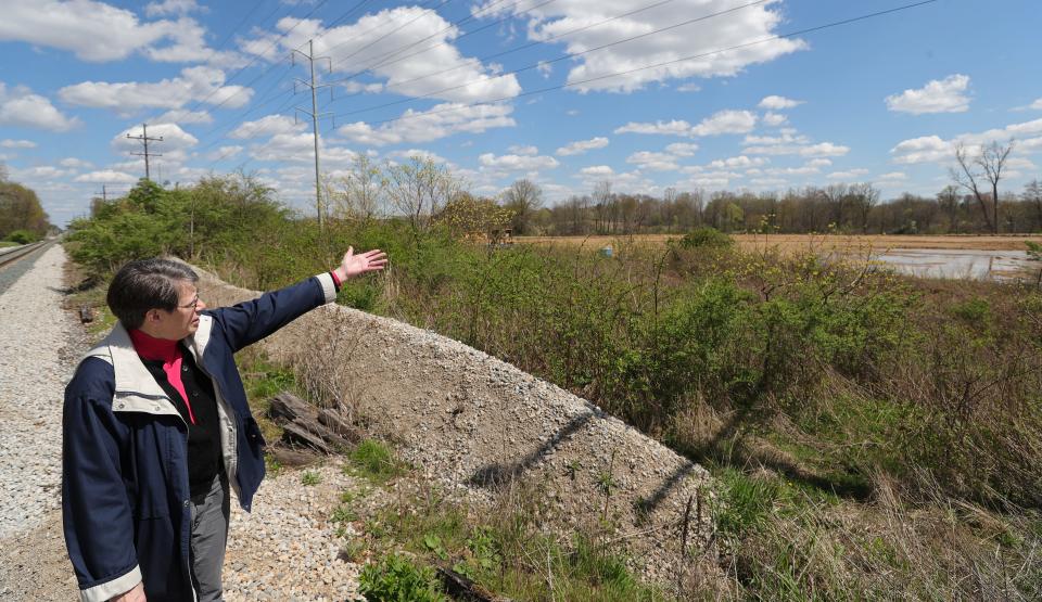 Michele Colopy, executive director of the nonprofit LEAD for Pollinators, points out how tall trees have been cut down on the White Pond Reserve development lot.