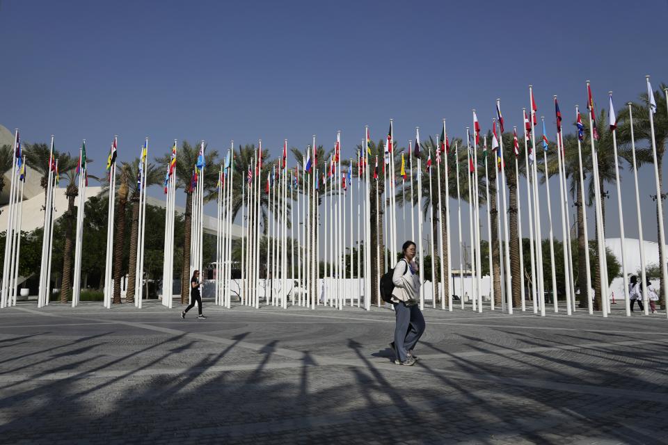 People walk near country's flags ahead of the COP28 U.N. Climate Summit, Tuesday, Nov. 28, 2023, in Dubai, United Arab Emirates. (AP Photo/Rafiq Maqbool)