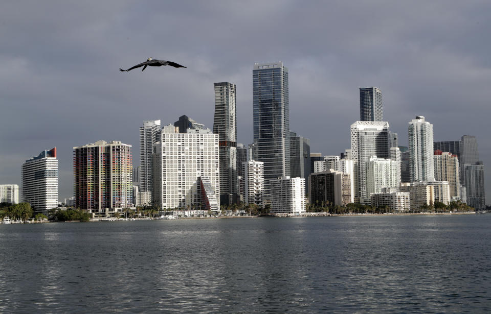 In this Feb. 2, 2018, photo, a pelican flies over Biscayne Bay with the skyline of Miami on the horizon. Florida is now home to two metro areas with among the highest concentrations of gay and lesbian coupled households in the U.S., according to a new report released by the U.S. Census Bureau. Orlando and Miami had the fourth and sixth highest concentrations of same sex coupled households in the U.S. (AP Photo/Lynne Sladky)