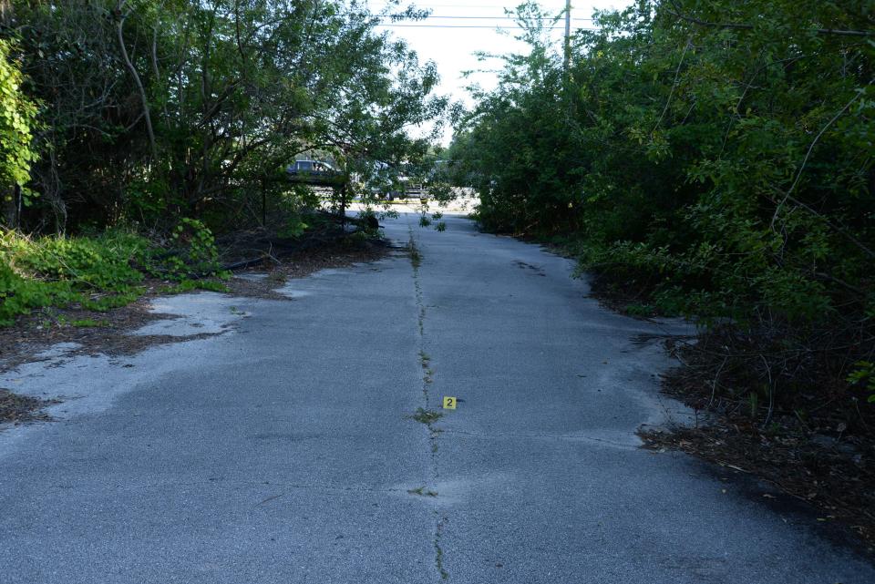An evidence marker in an area off State Road 100 near Colbert Lane where a man falsely claimed to have been stabbed April 19, 2024, according to the Flagler County Sheriff's Office.