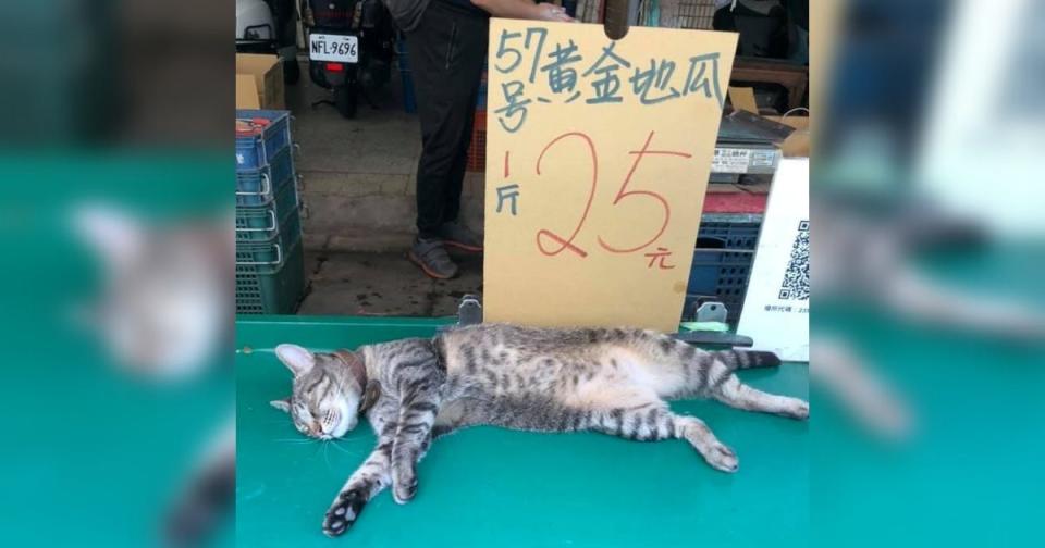 <p>A “hairy sweet potato” was recently spotted in a traditional market in Taiwan, winning the hearts of social media users. (Photo courtesy of Kuo Ya-ling)</p>
