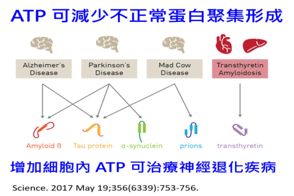 CNEWS匯流新聞網資料照片207230426a02